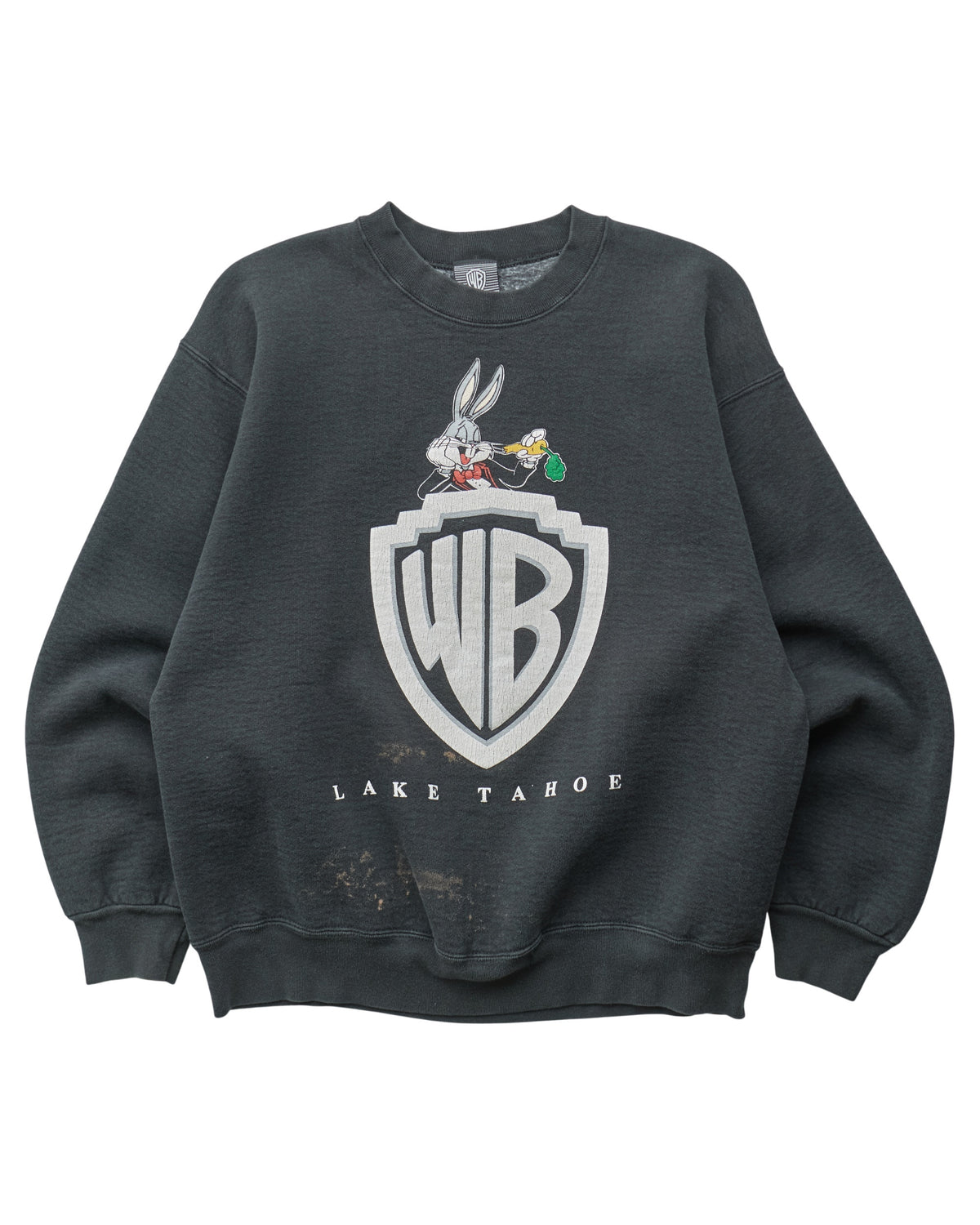 (S) 90s Warner Bros Lake Tahoe WB Sweatshirt