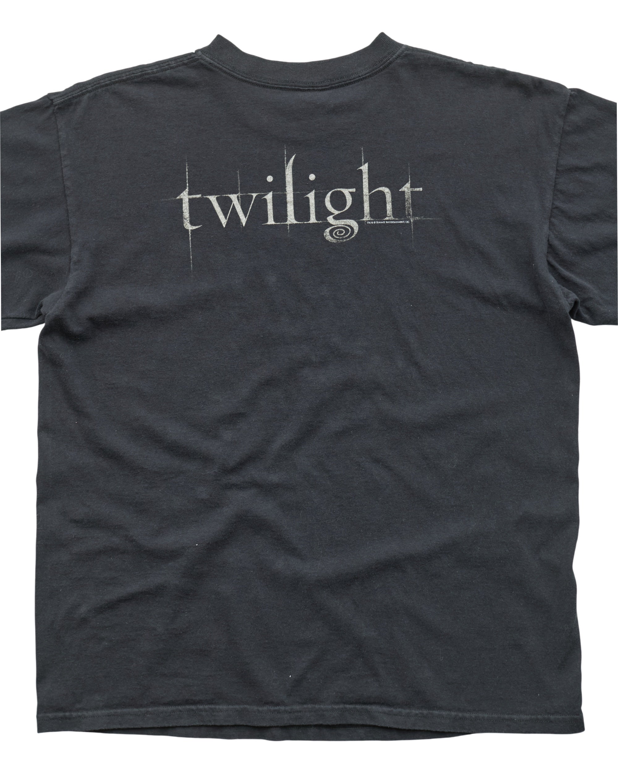 (M) 2010s Twilight Edward Anvil T-Shirt