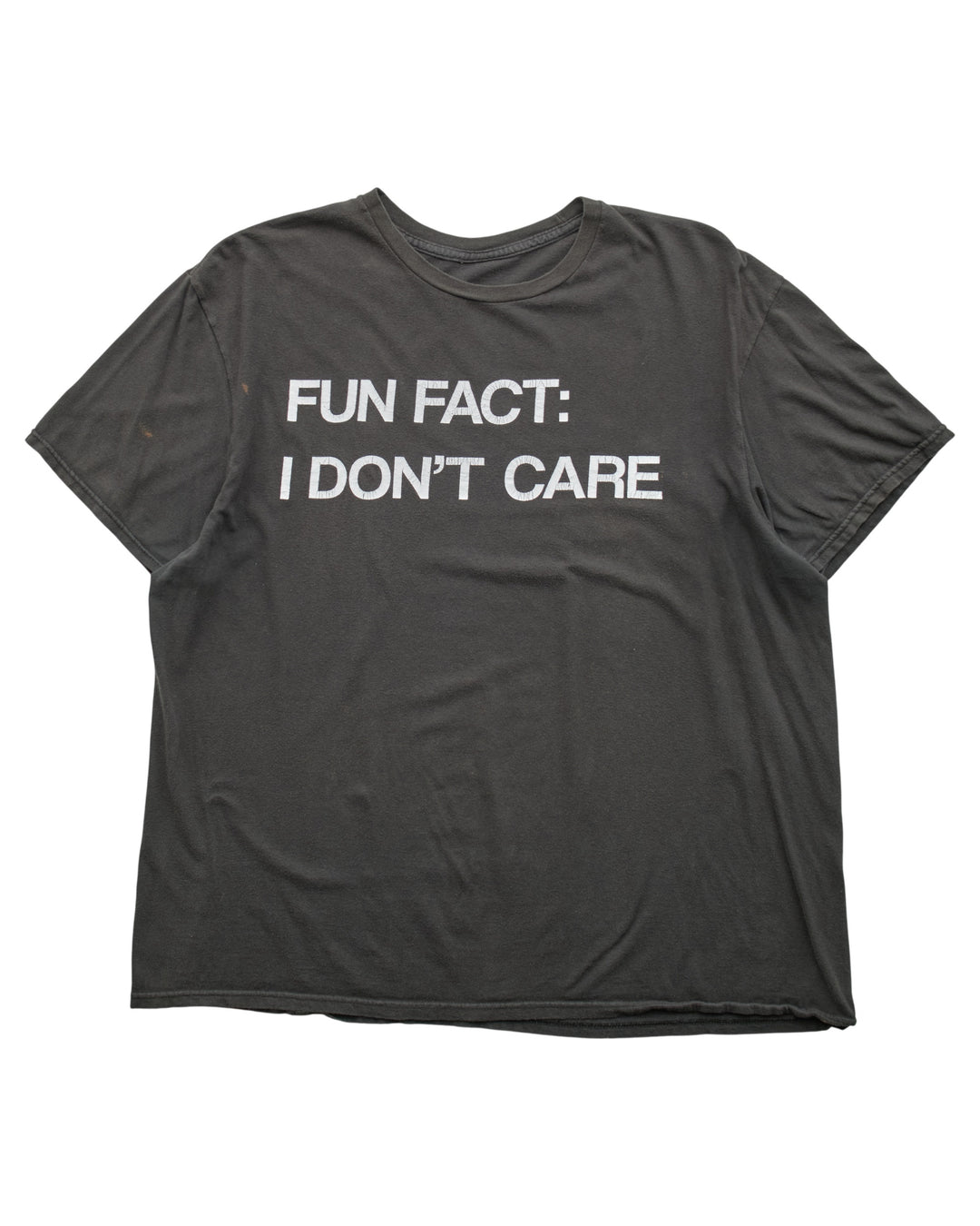 (L) 2000s Fun Fact I Don't Care T-Shirt