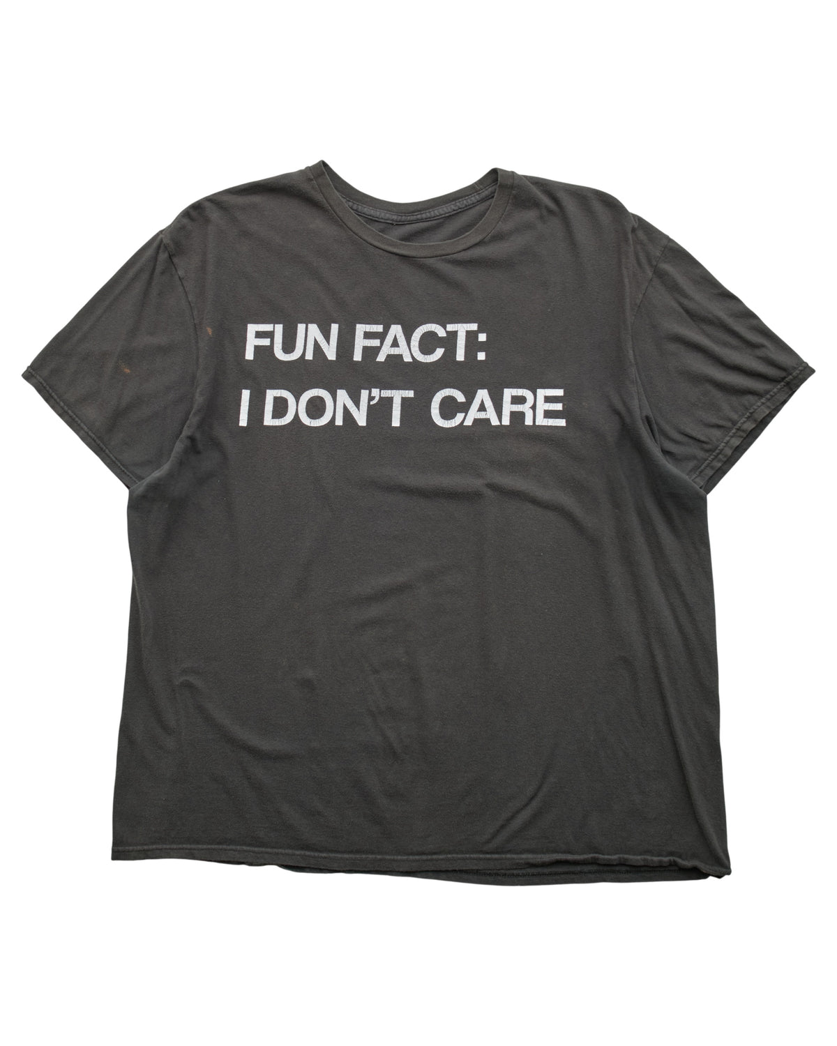 (L) 2000s Fun Fact I Don't Care T-Shirt