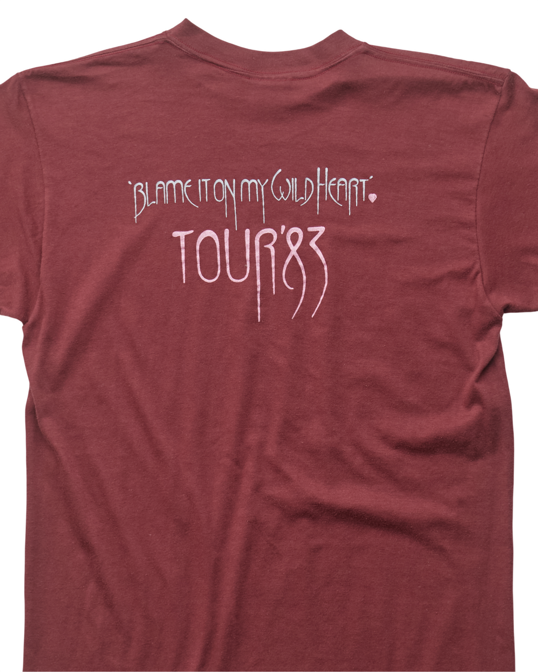 (S) 1983 Stevie Nicks Ban Tams T-Shirt