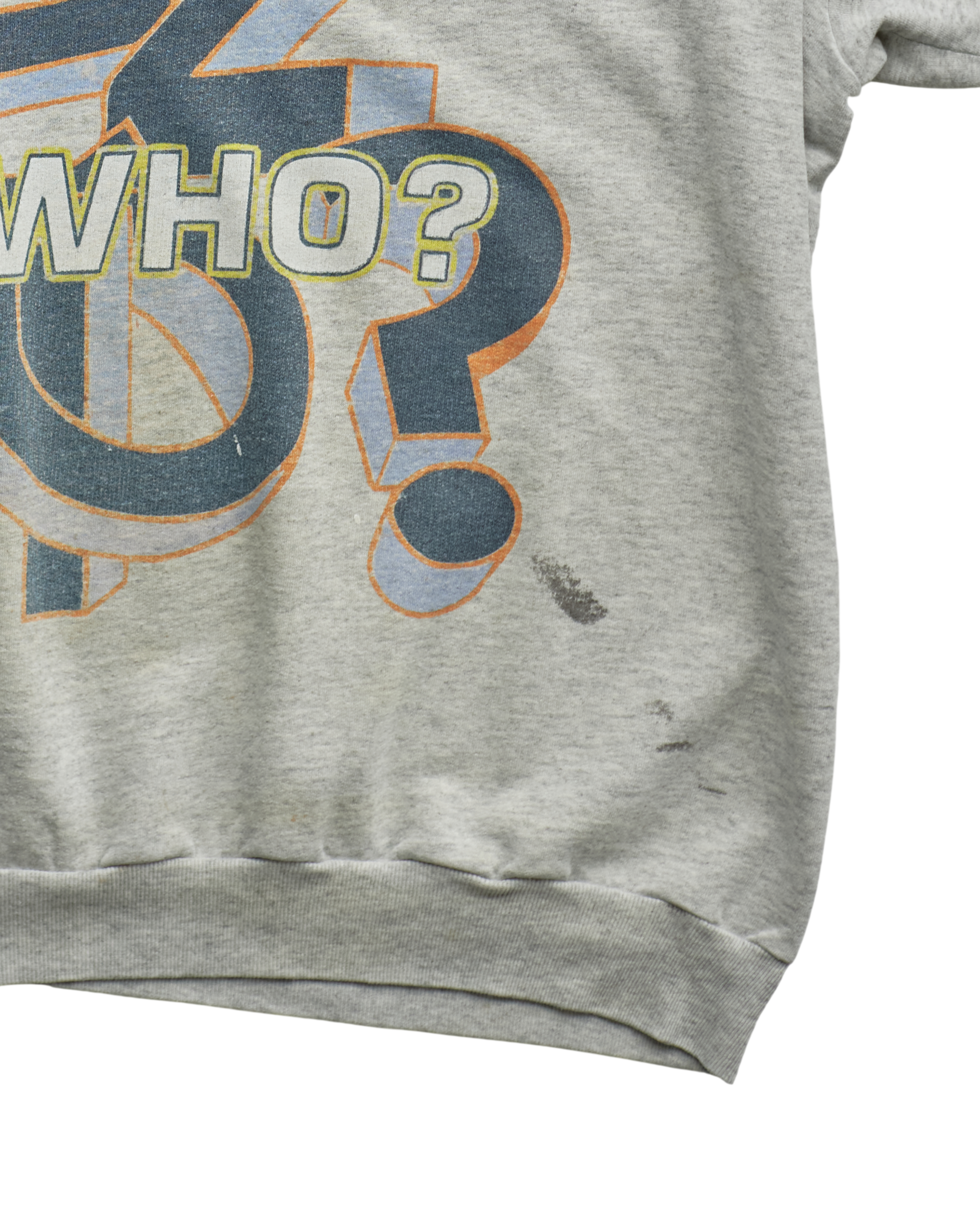 (XL) 90s Tweety Sez Who? Looney Tunes Sweatshirt
