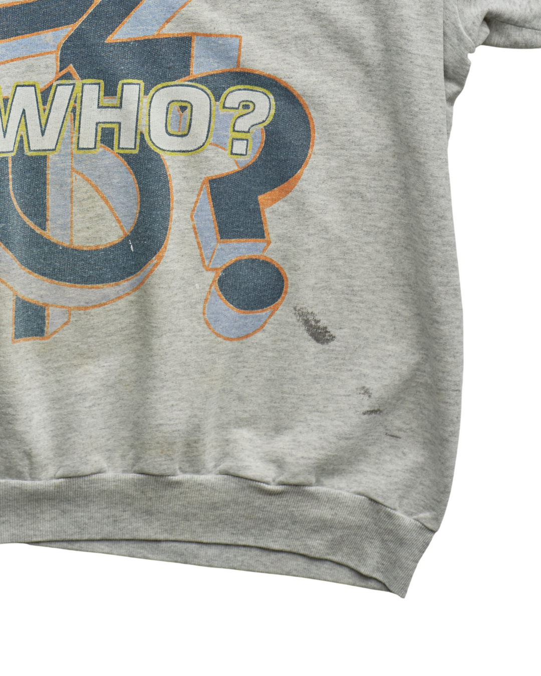 (XL) 90s Tweety Sez Who? Looney Tunes Sweatshirt