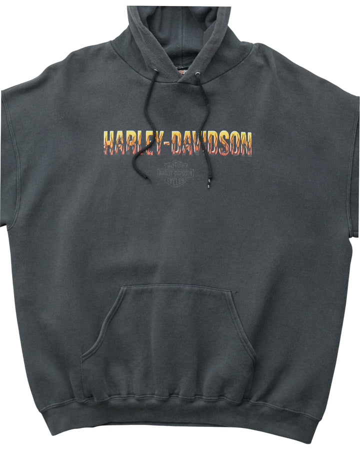 (2XL) 2001 Harley Davidson Hoodie