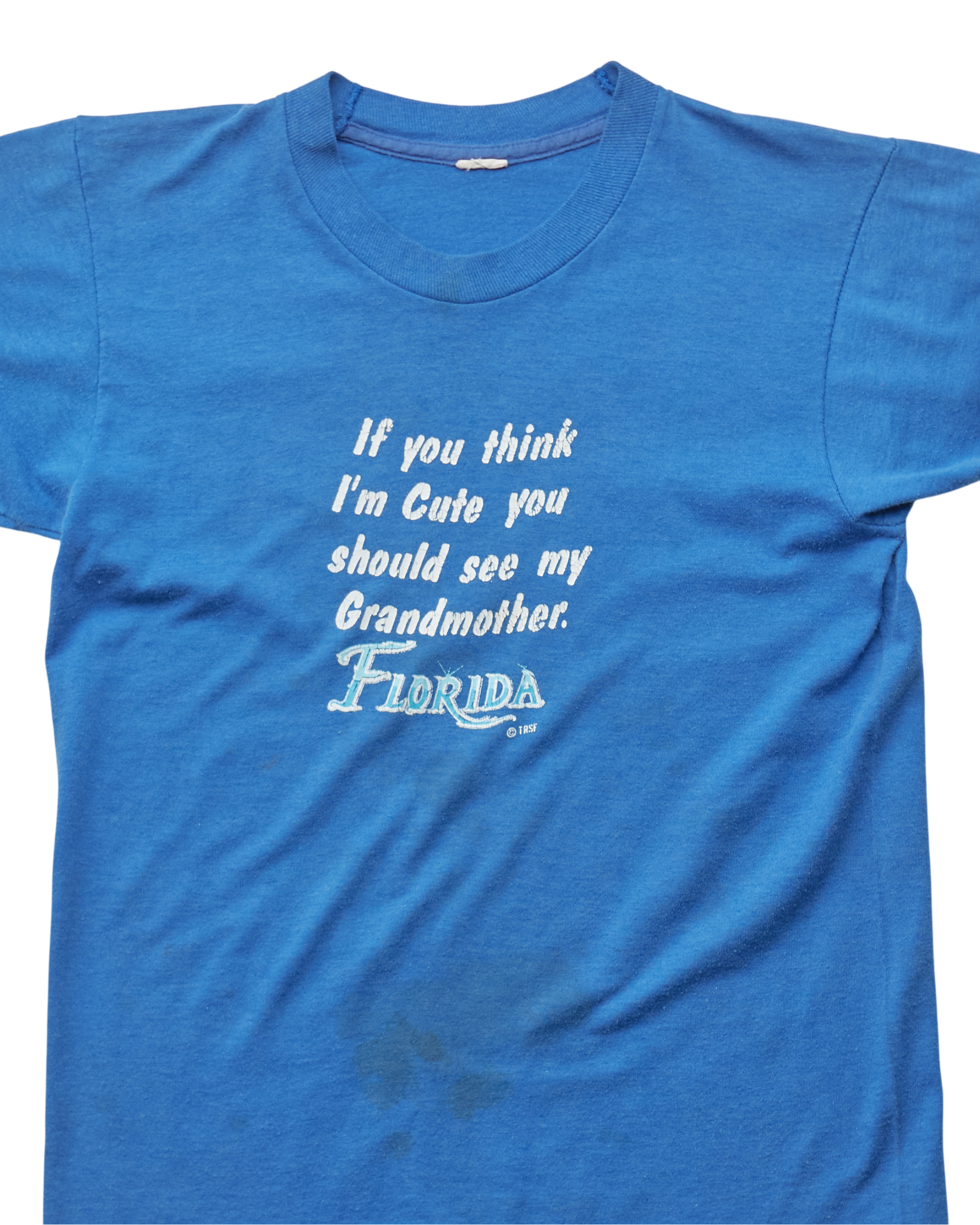 (L) 80s You Should See My Grandmother Anvil T-Shirt