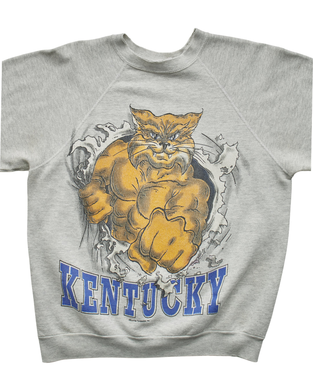 (S) 90s Kentucky Wildcats Sweatshirt