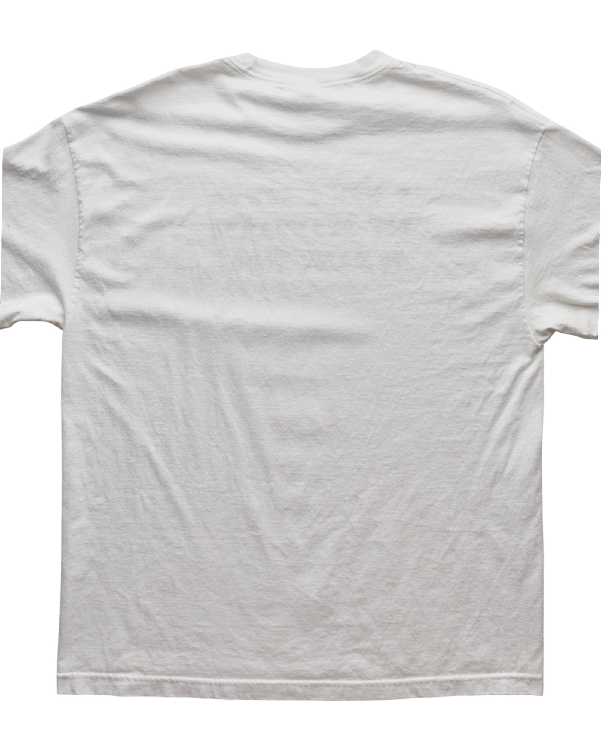 (L) 2000s I Won't Lower My Standards Alstyle T-Shirt