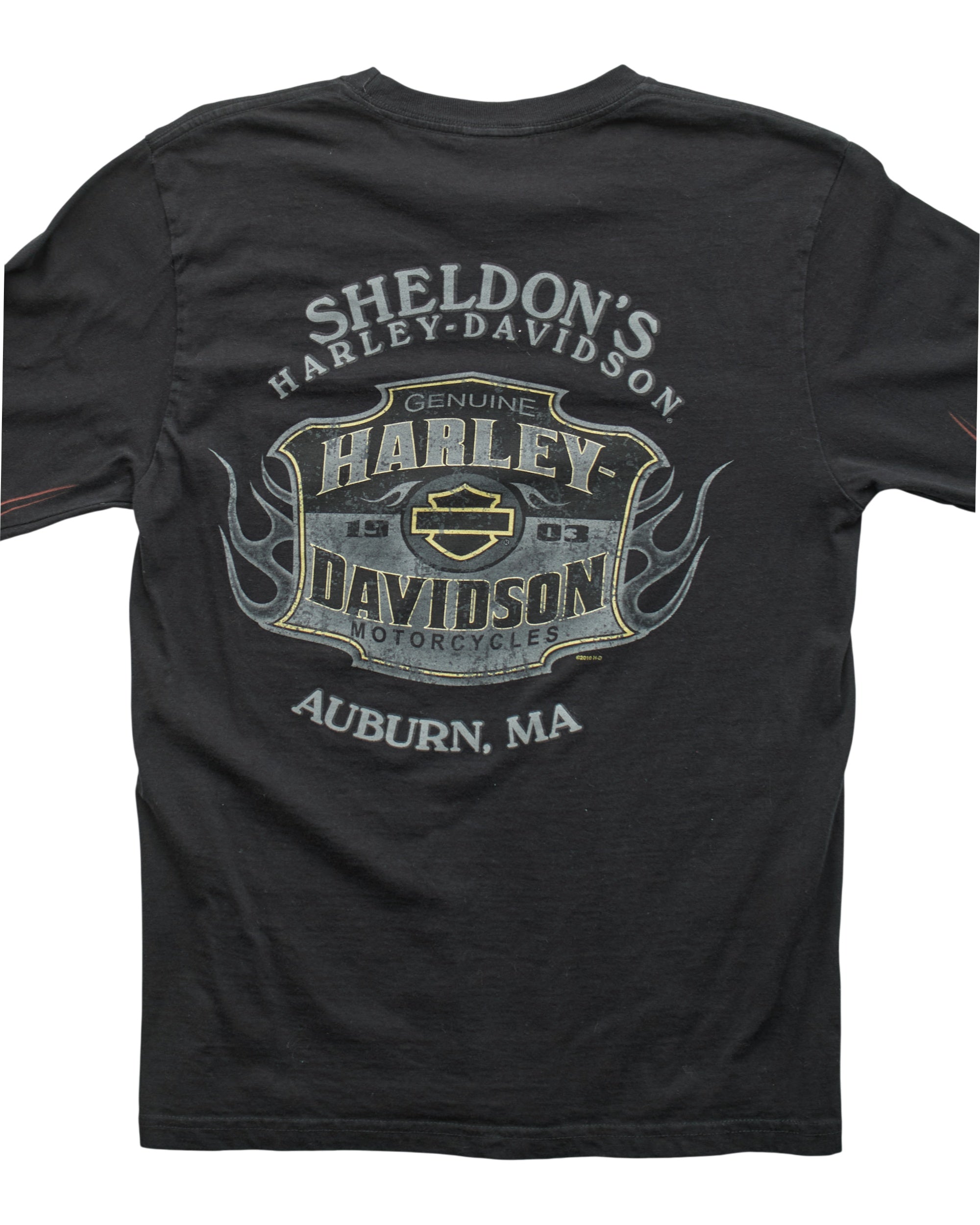 (M) 2010 Harley Davidson T-Shirt