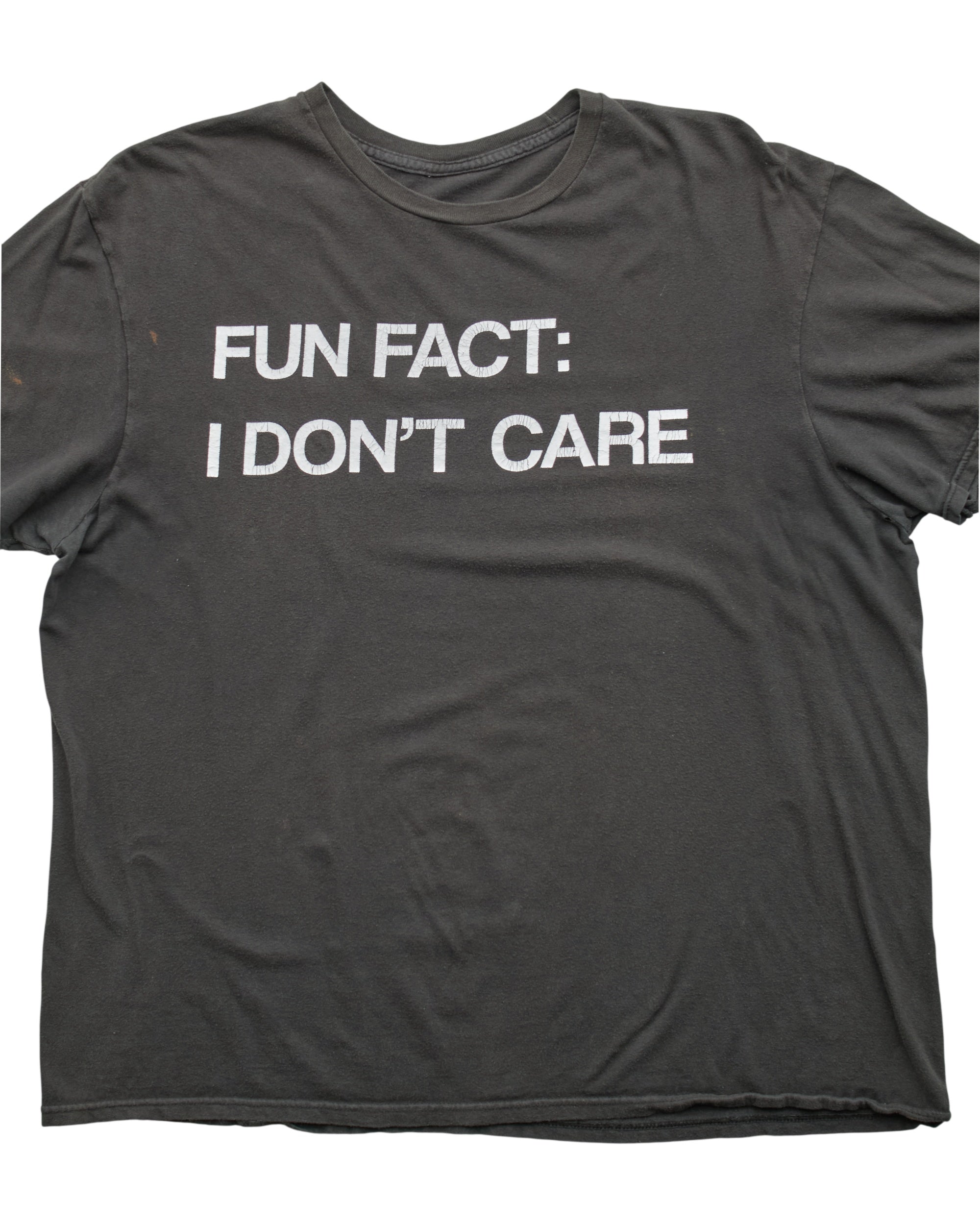 (L) 2000s Fun Fact I Don't Care T-Shirt