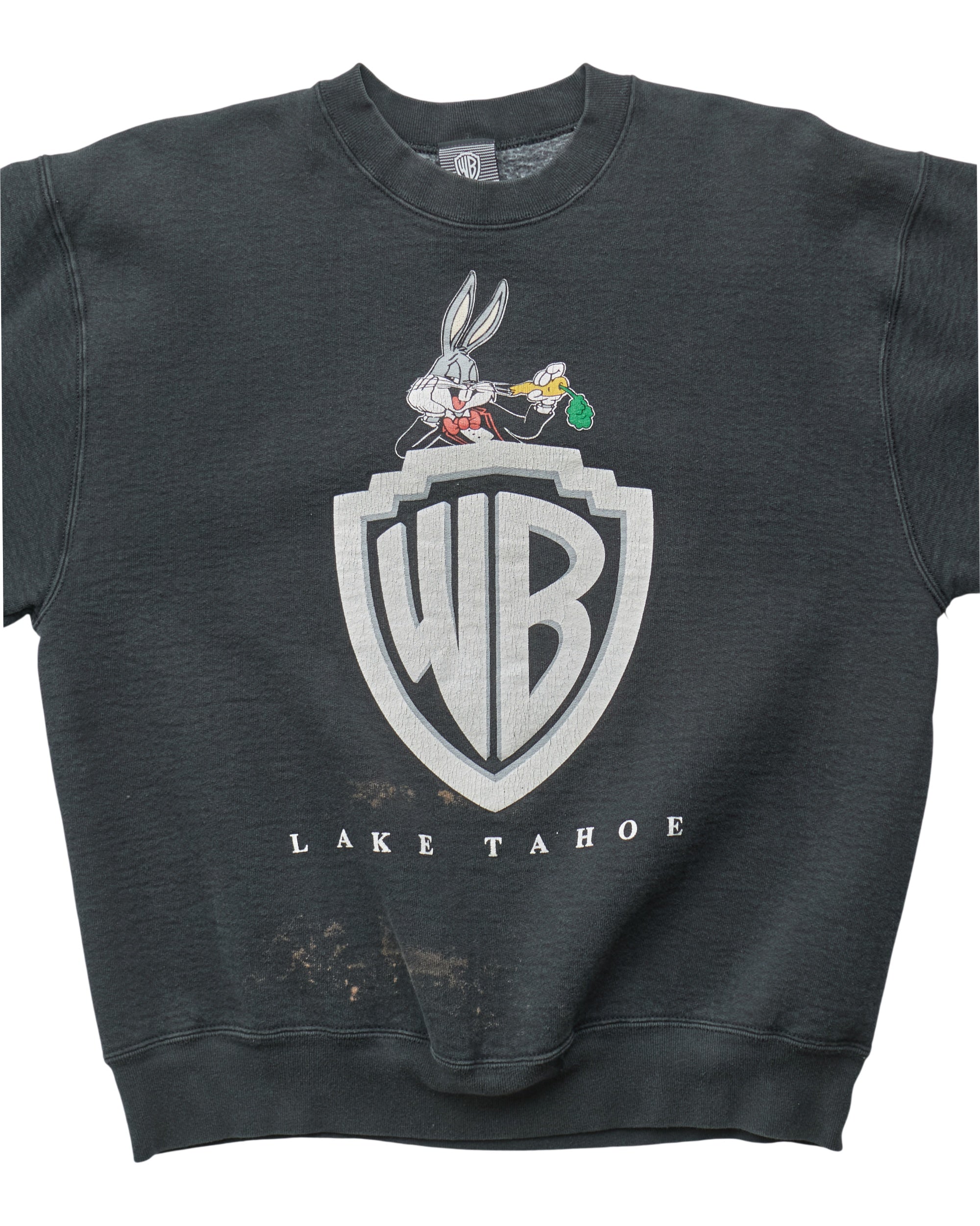 (S) 90s Warner Bros Lake Tahoe WB Sweatshirt