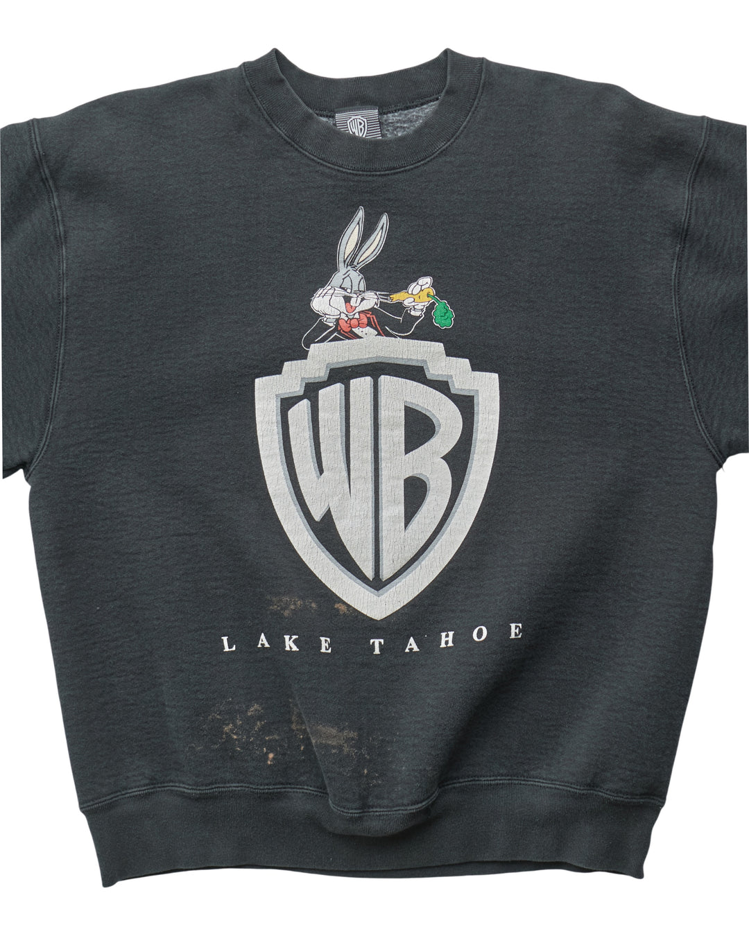 (S) 90s Warner Bros Lake Tahoe WB Sweatshirt