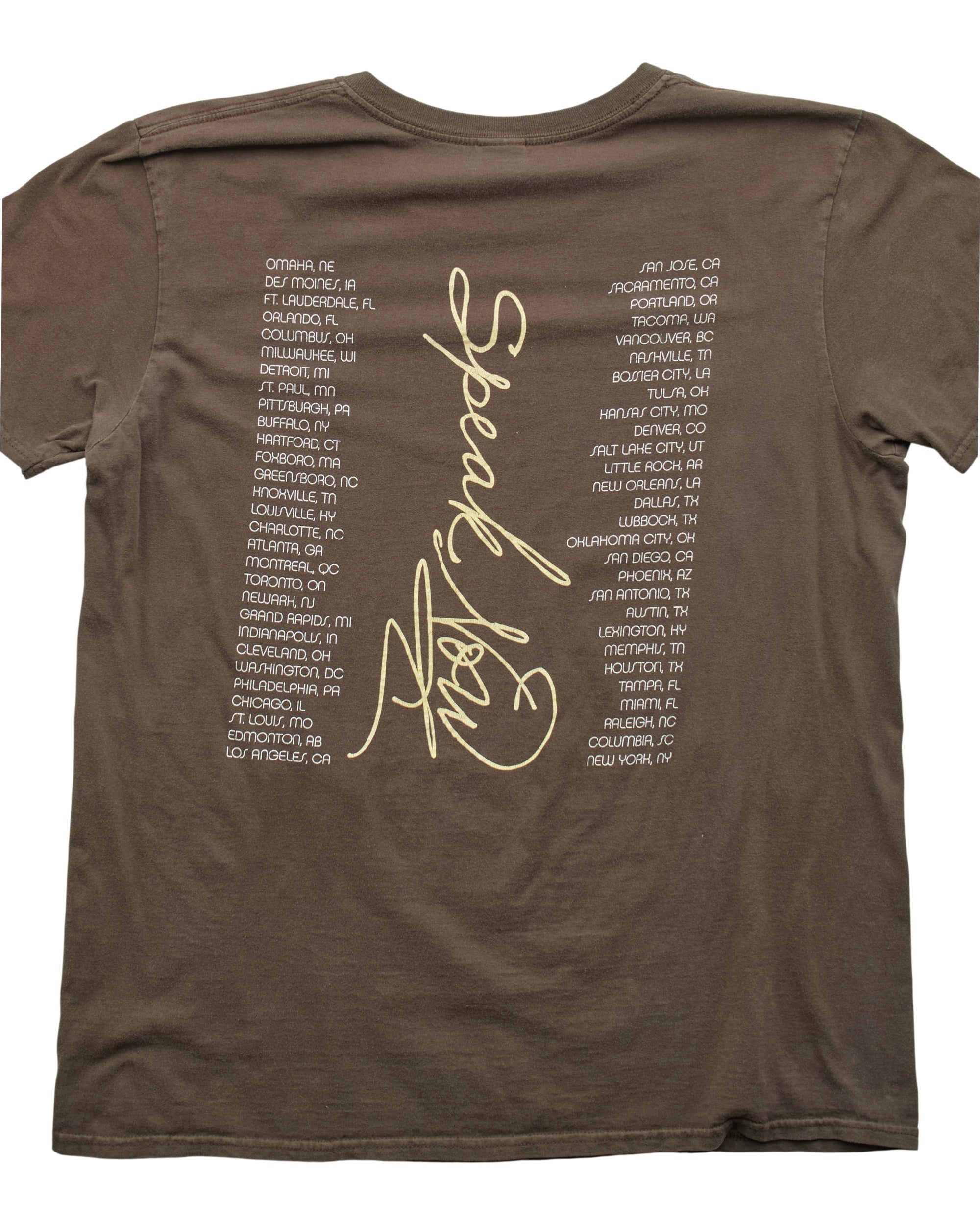 (M) 2011 Taylor Swift Speak Now Gildan T-Shirt